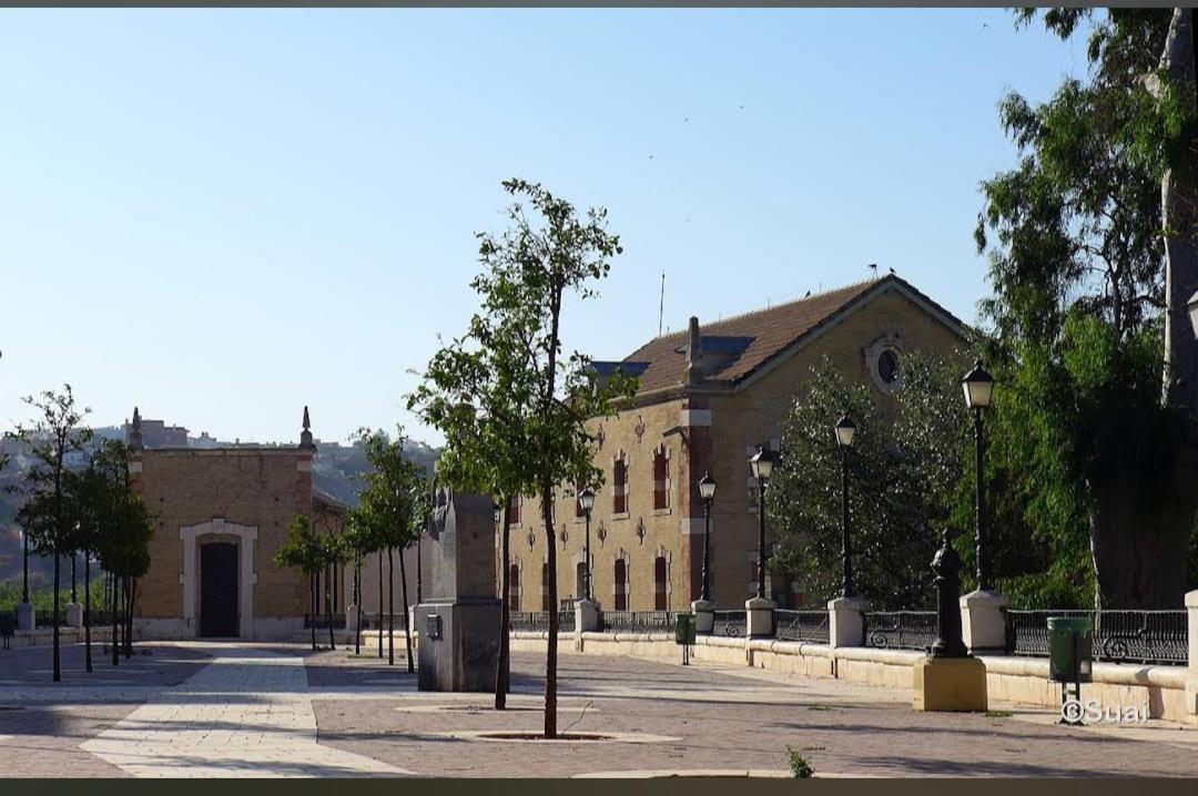 El Patio De La Cris Daire Puente Genil Dış mekan fotoğraf