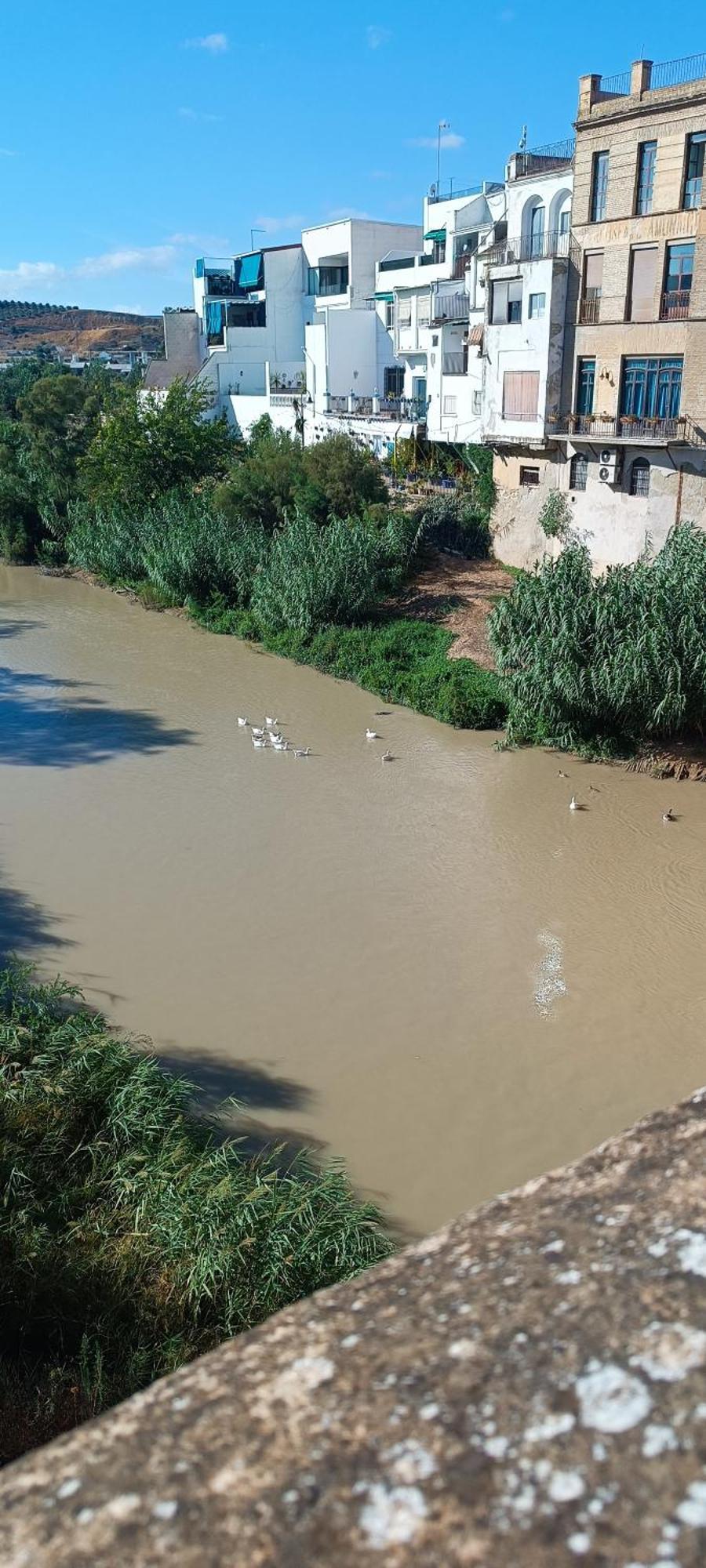 El Patio De La Cris Daire Puente Genil Dış mekan fotoğraf