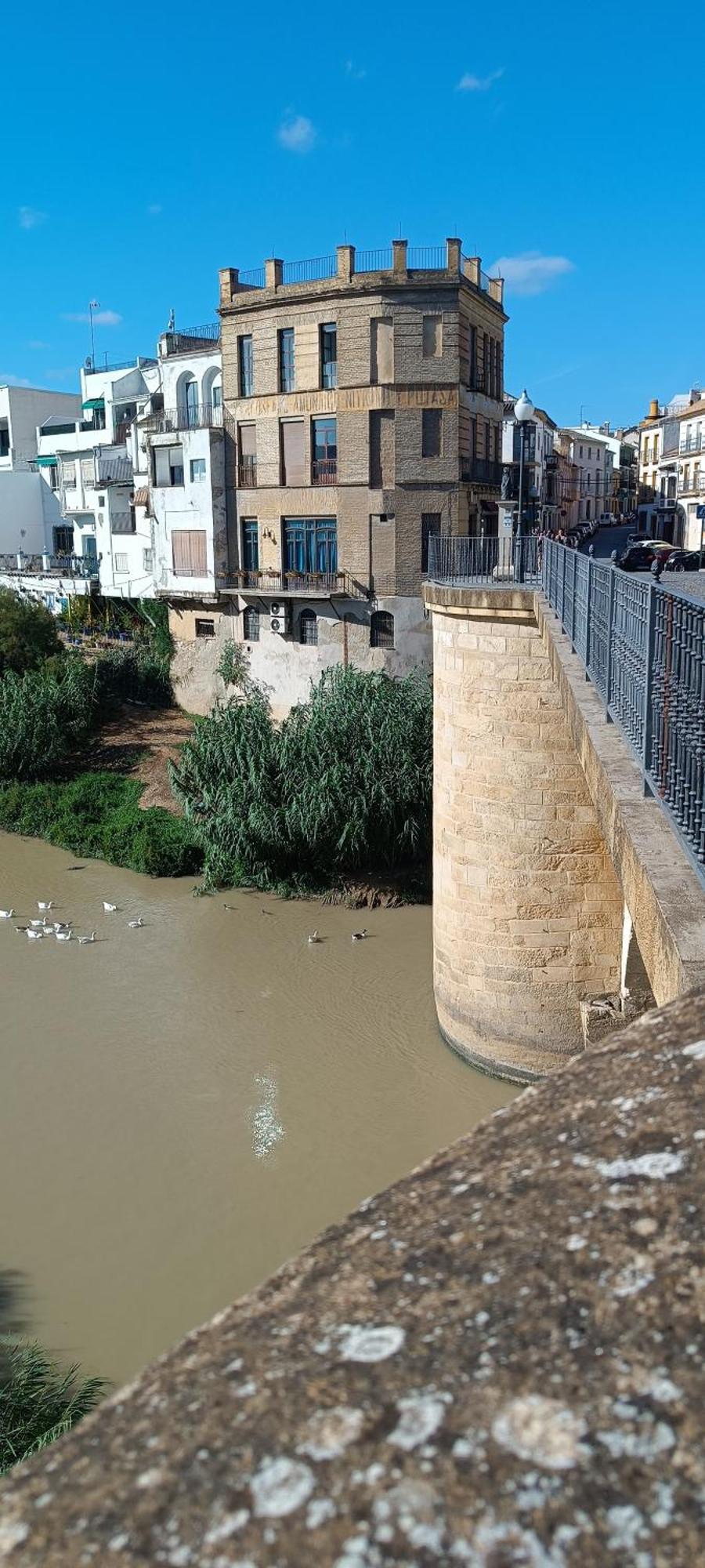 El Patio De La Cris Daire Puente Genil Dış mekan fotoğraf